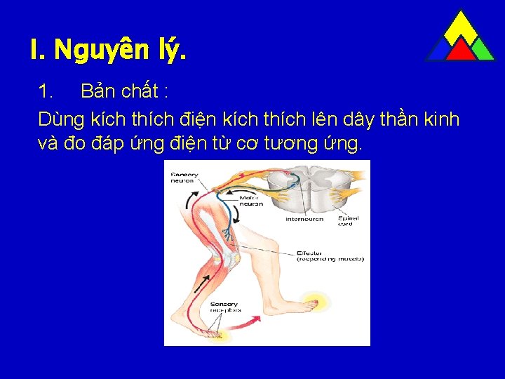 I. Nguyên lý. 1. Bản chất : Dùng kích thích điện kích thích lên