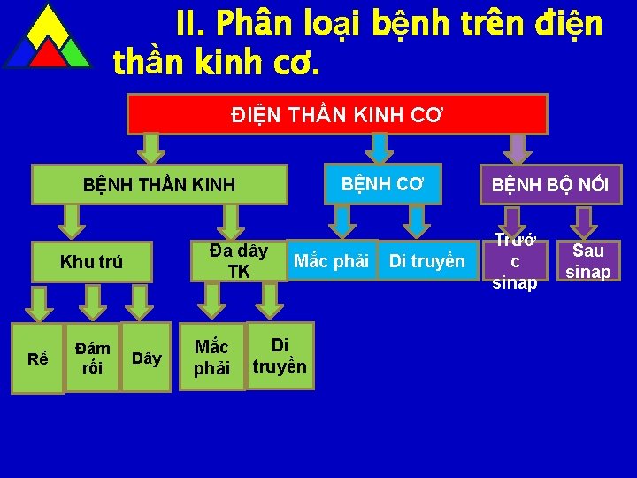 II. Phân loại bệnh trên điện thần kinh cơ. ĐIỆN THẦN KINH CƠ BỆNH