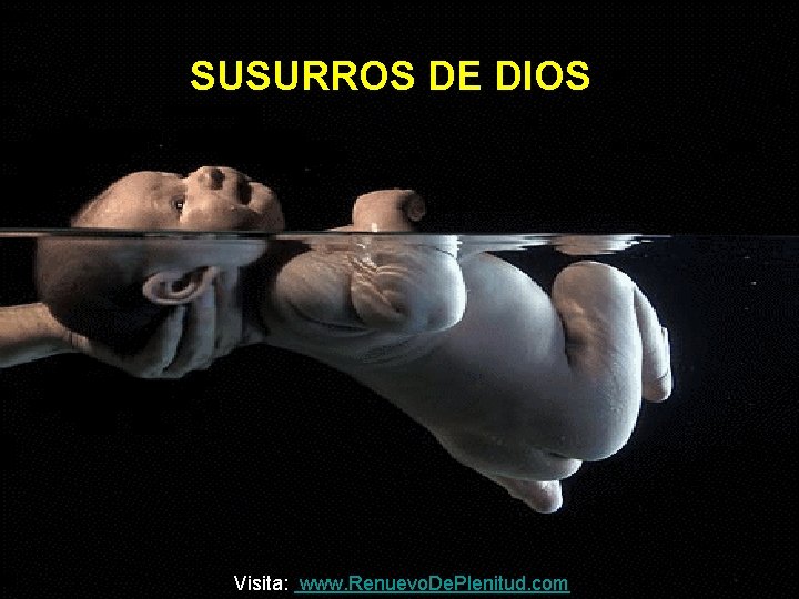 SUSURROS DE DIOS Visita: www. Renuevo. De. Plenitud. com 