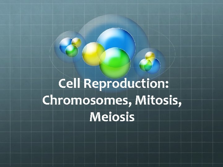 Cell Reproduction: Chromosomes, Mitosis, Meiosis 
