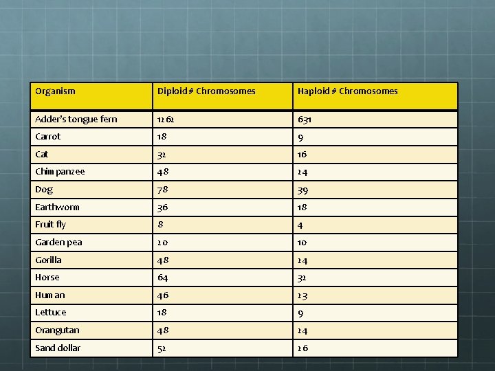 Organism Diploid # Chromosomes Haploid # Chromosomes Adder’s tongue fern 1262 631 Carrot 18