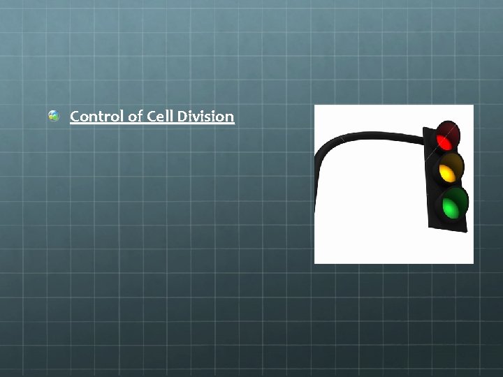 Control of Cell Division 