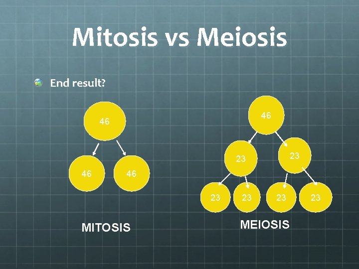 Mitosis vs Meiosis End result? 46 46 23 23 46 46 23 MITOSIS 23