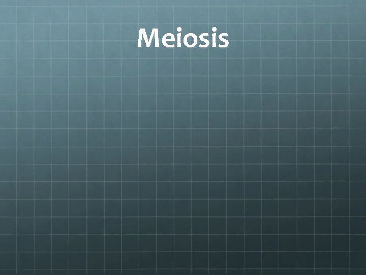 Meiosis 