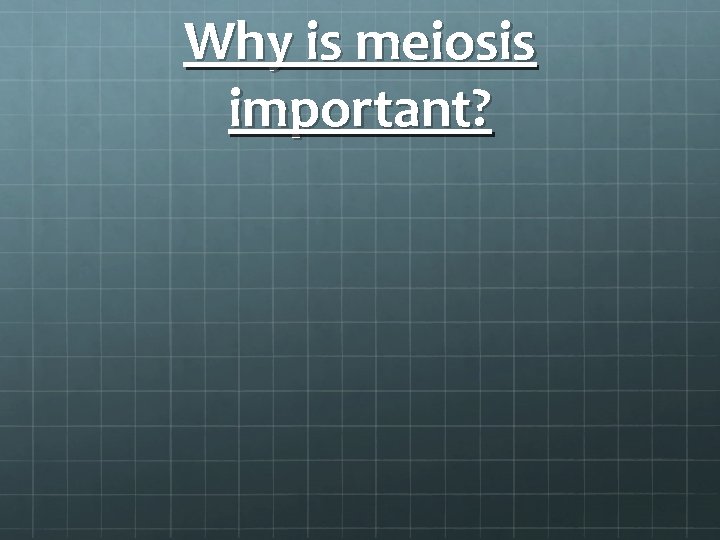 Why is meiosis important? 