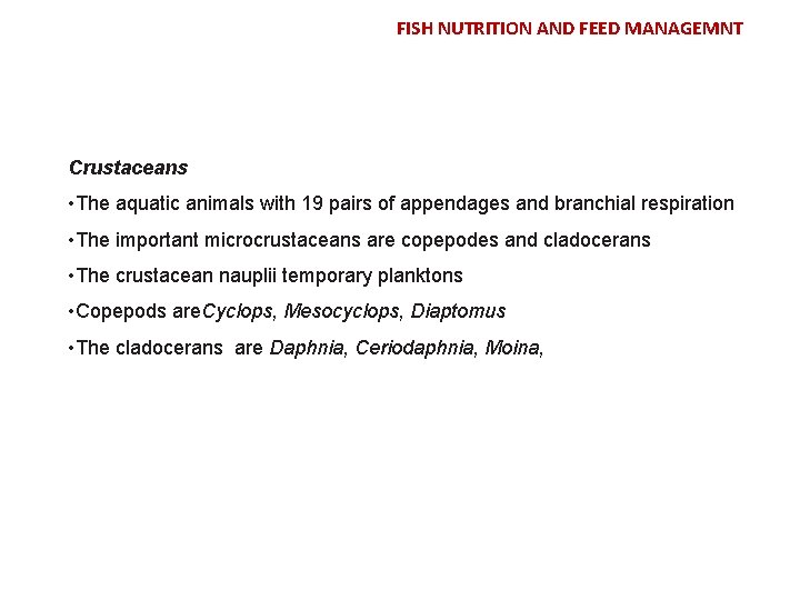 FISH NUTRITION AND FEED MANAGEMNT Crustaceans • The aquatic animals with 19 pairs of