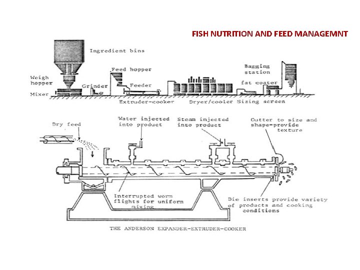 FISH NUTRITION AND FEED MANAGEMNT 