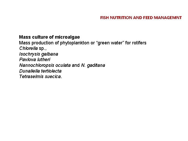FISH NUTRITION AND FEED MANAGEMNT Mass culture of microalgae Mass production of phytoplankton or