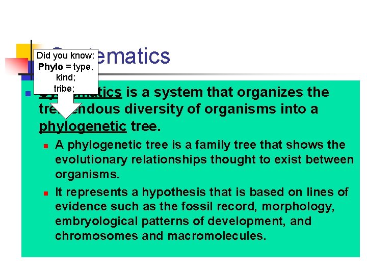 Systematics n Did you know: Phylo = type, kind; tribe; Systematics is a system Systematics n Did you know: Phylo = type, kind; tribe; Systematics is a system