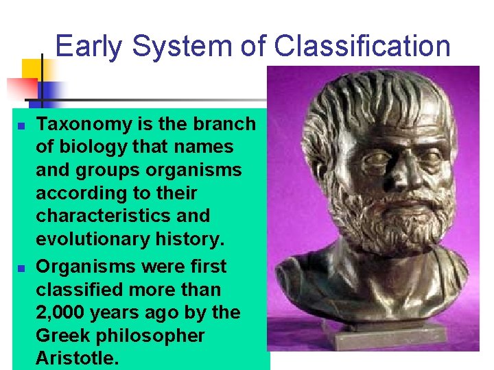 Early System of Classification n n Taxonomy is the branch of biology that names Early System of Classification n n Taxonomy is the branch of biology that names