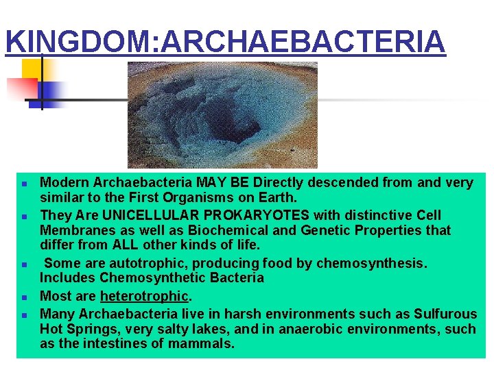KINGDOM: ARCHAEBACTERIA n n n Modern Archaebacteria MAY BE Directly descended from and very KINGDOM: ARCHAEBACTERIA n n n Modern Archaebacteria MAY BE Directly descended from and very