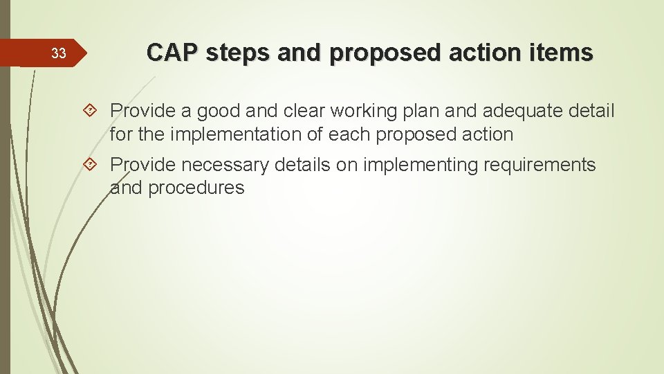 33 CAP steps and proposed action items Provide a good and clear working plan
