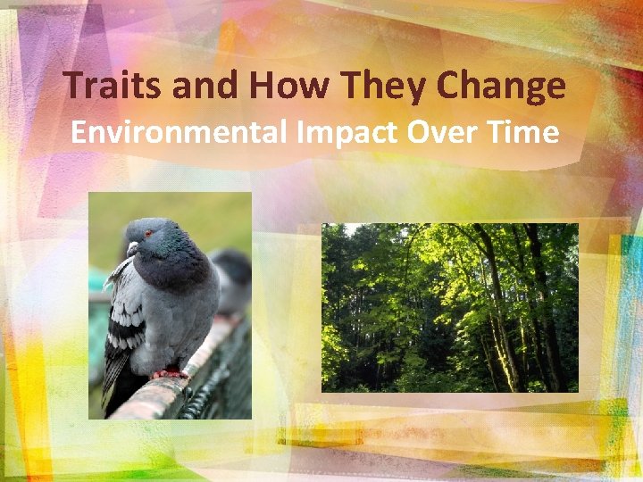 Traits and How They Change Environmental Impact Over Time 