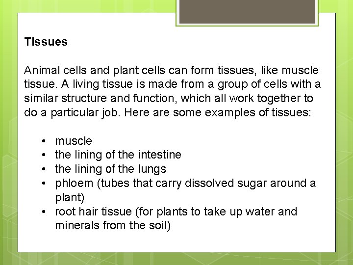 Tissues Animal cells and plant cells can form tissues, like muscle tissue. A living Tissues Animal cells and plant cells can form tissues, like muscle tissue. A living