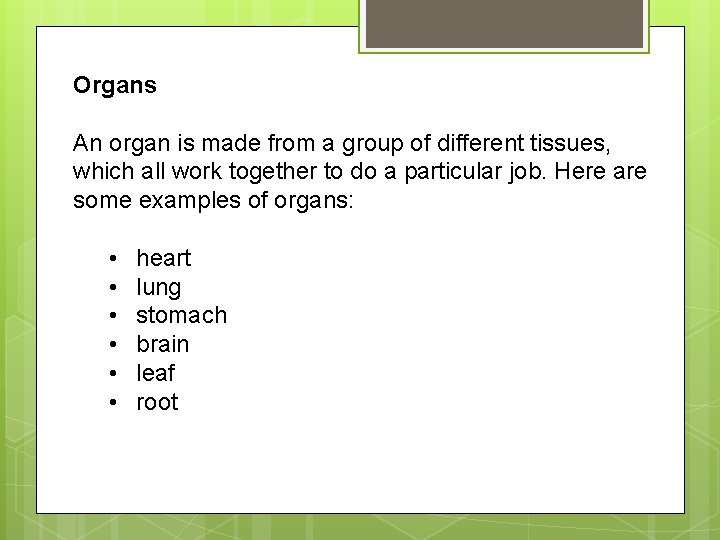 Organs An organ is made from a group of different tissues, which all work Organs An organ is made from a group of different tissues, which all work