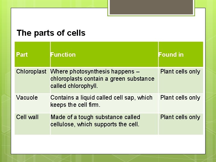 The parts of cells Part Function Found in Chloroplast Where photosynthesis happens – Plant The parts of cells Part Function Found in Chloroplast Where photosynthesis happens – Plant