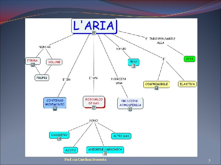 Prof. ssa Carolina Sementa 3 
