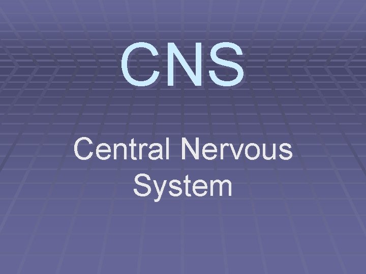 CNS Central Nervous System 