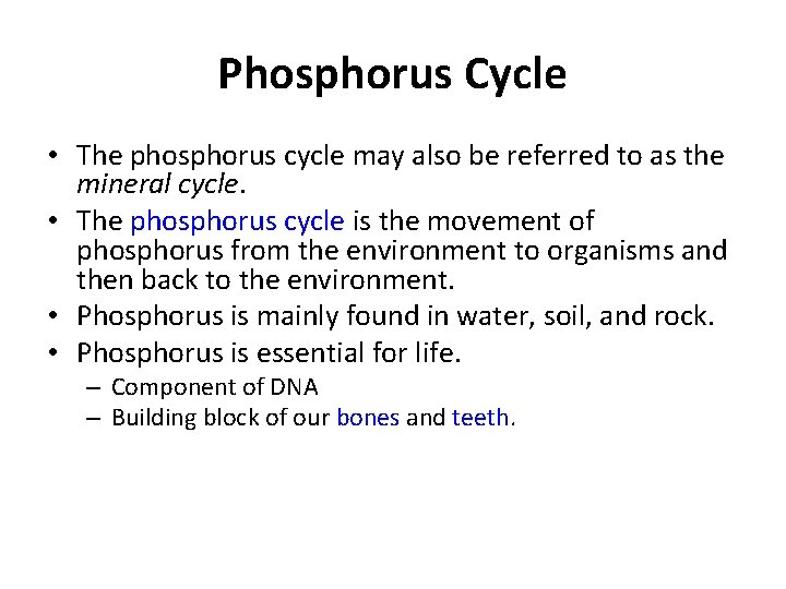 Phosphorus Cycle • The phosphorus cycle may also be referred to as the mineral