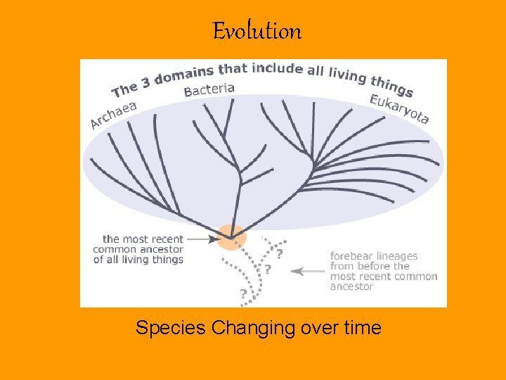Evolution Species Changing over time 