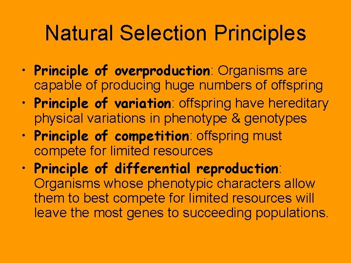 Natural Selection Principles • Principle of overproduction: Organisms are capable of producing huge numbers