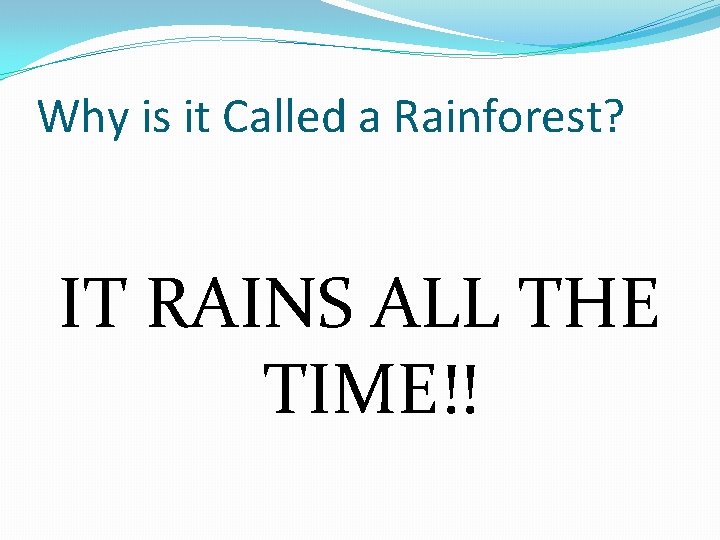 Why is it Called a Rainforest? IT RAINS ALL THE TIME!! 
