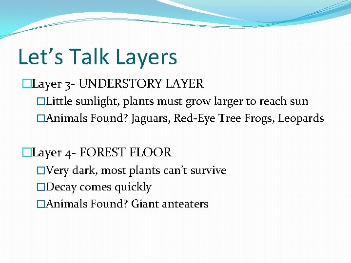 Let’s Talk Layers �Layer 3 - UNDERSTORY LAYER �Little sunlight, plants must grow larger