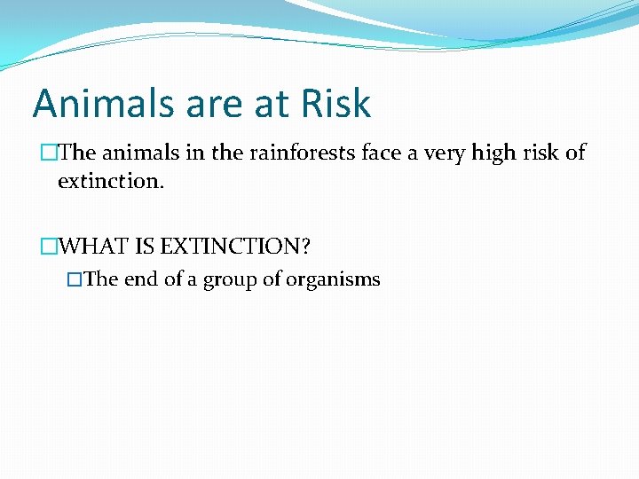 Animals are at Risk �The animals in the rainforests face a very high risk