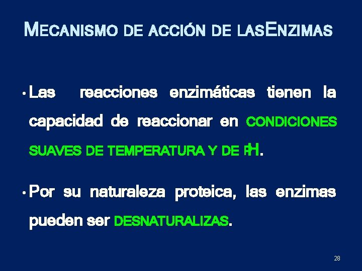 MECANISMO DE ACCIÓN DE LASENZIMAS • Las reacciones enzimáticas tienen la capacidad de reaccionar