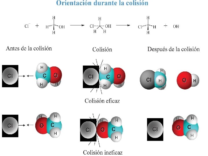 CARACTERISTICAS DE LAS ENZIMAS 39 