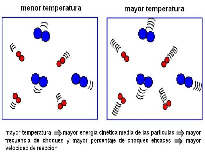 CARACTERISTICAS DE LAS ENZIMAS 44 