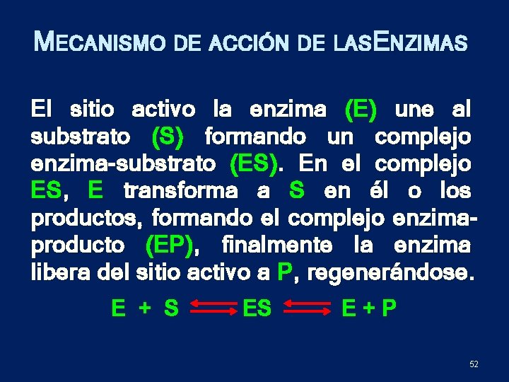 MECANISMO DE ACCIÓN DE LASENZIMAS El sitio activo la enzima (E) une al substrato