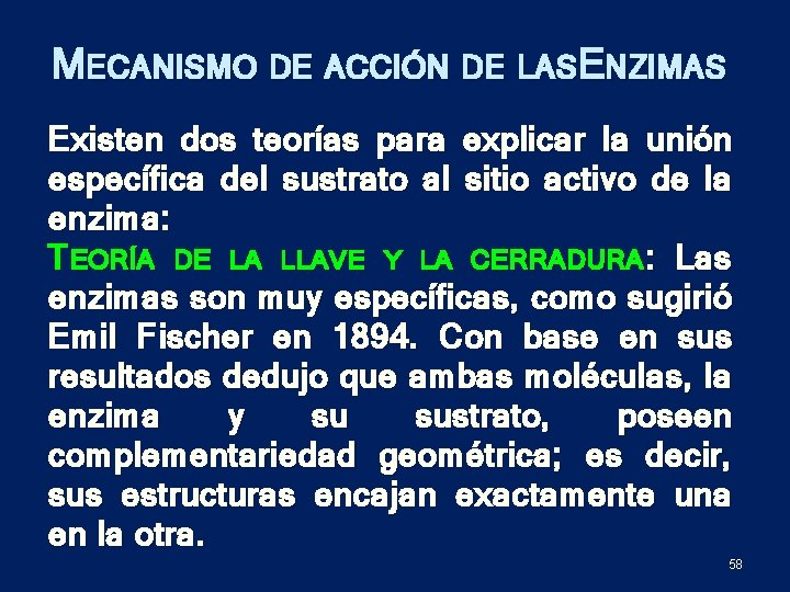 MECANISMO DE ACCIÓN DE LASENZIMAS Existen dos teorías para explicar la unión específica del