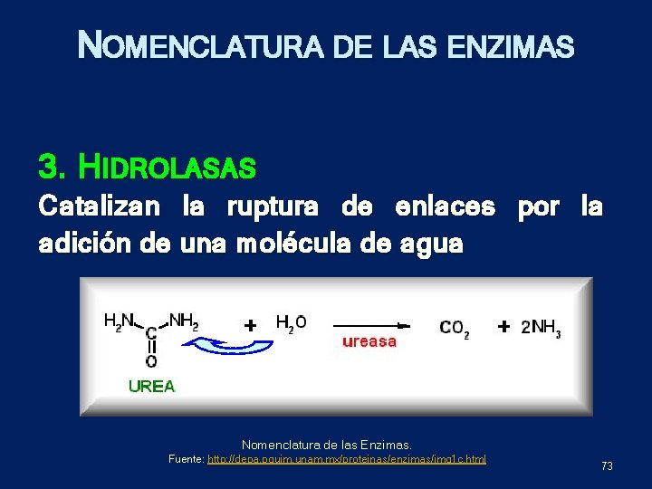 NOMENCLATURA DE LAS ENZIMAS 3. HIDROLASAS Catalizan la ruptura de enlaces por la adición