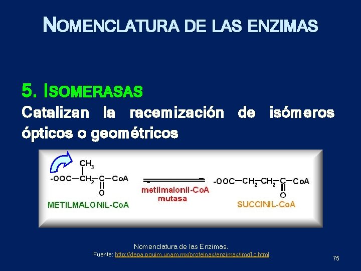 NOMENCLATURA DE LAS ENZIMAS 5. ISOMERASAS Catalizan la racemización de isómeros ópticos o geométricos