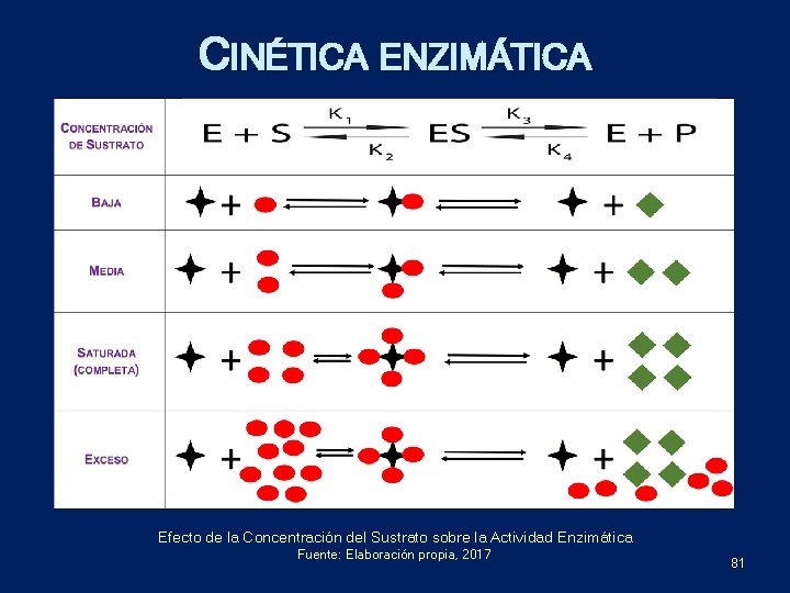 CINÉTICA ENZIMÁTICA Efecto de la Concentración del Sustrato sobre la Actividad Enzimática Fuente: Elaboración