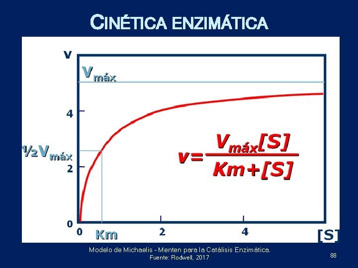 CINÉTICA ENZIMÁTICA Modelo de Michaelis – Menten para la Catálisis Enzimática. Fuente: Rodwell, 2017