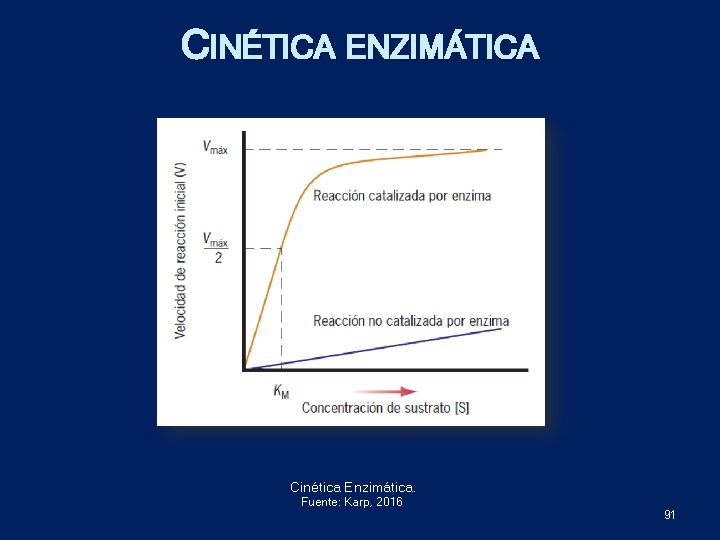 CINÉTICA ENZIMÁTICA Cinética Enzimática. Fuente: Karp, 2016 91 