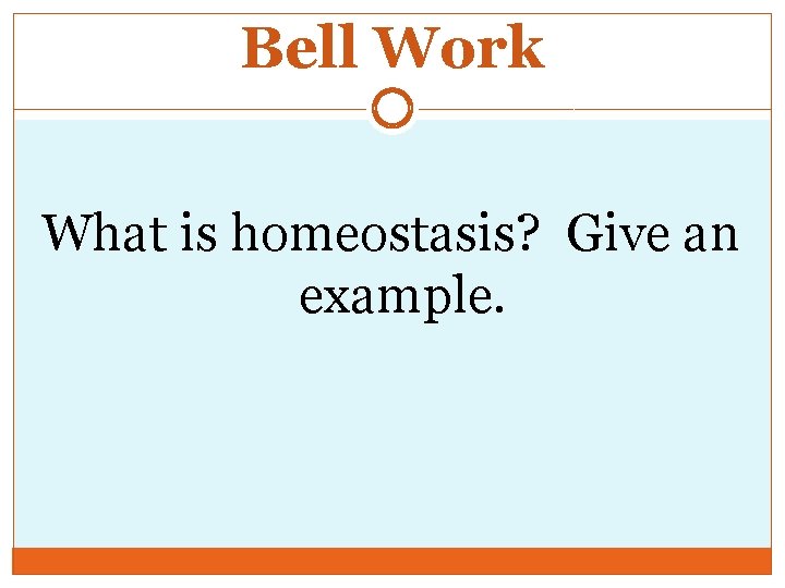 Bell Work What is homeostasis? Give an example. 