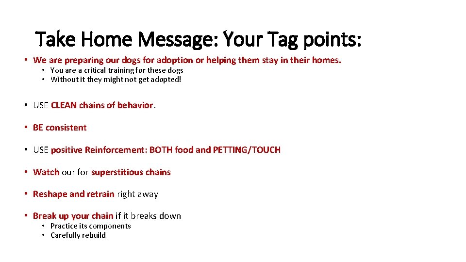 Take Home Message: Your Tag points: • We are preparing our dogs for adoption Take Home Message: Your Tag points: • We are preparing our dogs for adoption