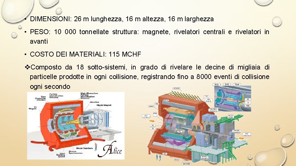  • DIMENSIONI: 26 m lunghezza, 16 m altezza, 16 m larghezza • PESO: