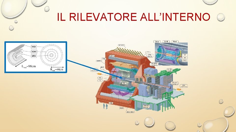 IL RILEVATORE ALL’INTERNO 