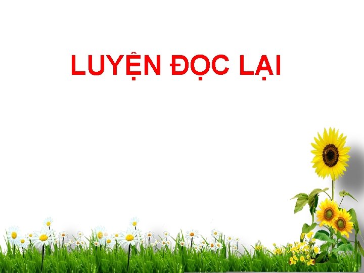 LUYỆN ĐỌC LẠI 