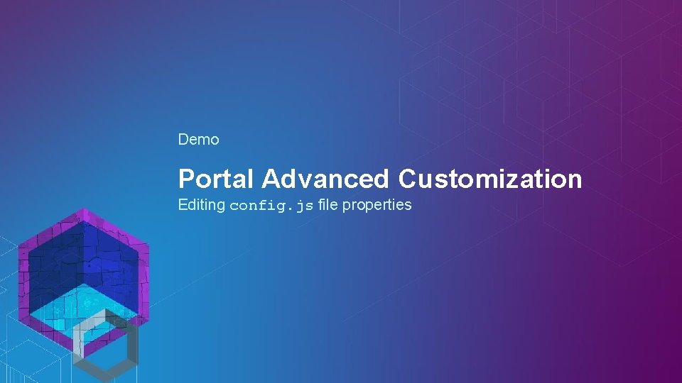 Demo Portal Advanced Customization Editing config. js file properties 