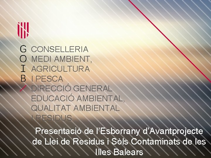 CONSELLERIA MEDI AMBIENT, AGRICULTURA I PESCA DIRECCIÓ GENERAL EDUCACIÓ AMBIENTAL, QUALITAT AMBIENTAL I RESIDUS