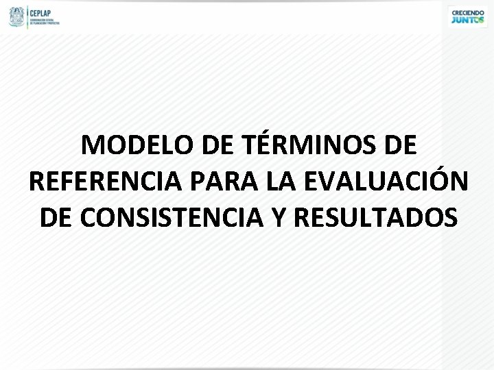 MODELO DE TÉRMINOS DE REFERENCIA PARA LA EVALUACIÓN DE CONSISTENCIA Y RESULTADOS 