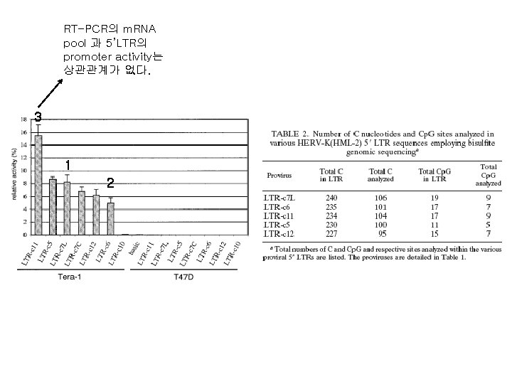 RT-PCR의 m. RNA pool 과 5’LTR의 promoter activity는 상관관계가 없다. 3 1 2 