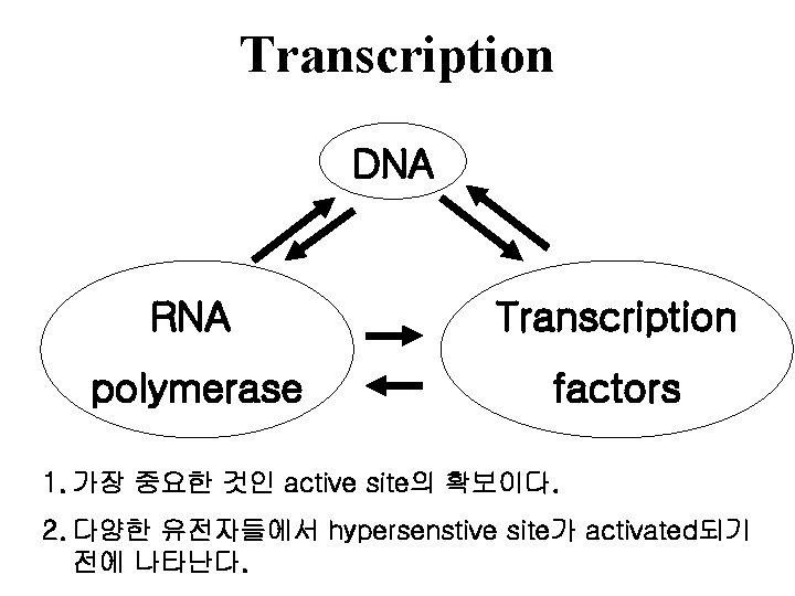 Transcription DNA RNA Transcription polymerase factors 1. 가장 중요한 것인 active site의 확보이다. 2.