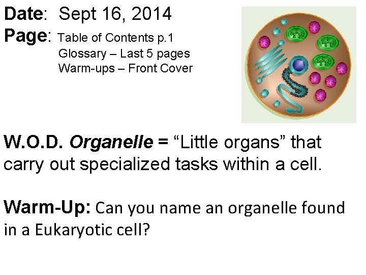 Date: Sept 16, 2014 Page: Table of Contents p. 1 Glossary – Last 5