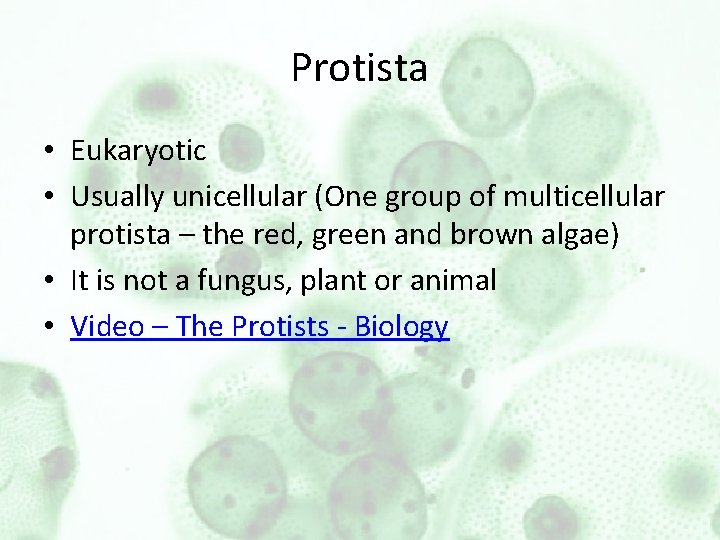 Protista • Eukaryotic • Usually unicellular (One group of multicellular protista – the red,